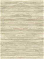 Grasscloth Look Textured Wallpaper RC10306 by Wallquest Wallpaper for sale at Wallpapers To Go