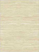 Grasscloth Look Textured Wallpaper RC10307 by Wallquest Wallpaper for sale at Wallpapers To Go