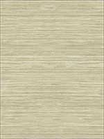 Grasscloth Look Textured Wallpaper RC10317 by Wallquest Wallpaper for sale at Wallpapers To Go