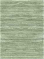 Grasscloth Look Textured Wallpaper RC10338 by Wallquest Wallpaper for sale at Wallpapers To Go