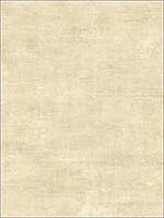 Faux Finish Textured Wallpaper RC10507 by Wallquest Wallpaper for sale at Wallpapers To Go