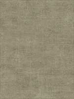 Faux Finish Textured Wallpaper RC10516 by Wallquest Wallpaper for sale at Wallpapers To Go