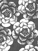 Fanciful Black Floral Wallpaper 276324206 by A Street Prints Wallpaper for sale at Wallpapers To Go