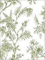 Jessamine Green Floral Trail Wallpaper 276324234 by A Street Prints Wallpaper for sale at Wallpapers To Go