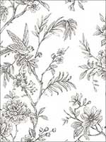 Jessamine Grey Floral Trail Wallpaper 276324237 by A Street Prints Wallpaper for sale at Wallpapers To Go