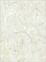 Scroll Wallpaper FI71607 by Seabrook Wallpaper for sale at Wallpapers To Go