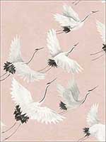 Windsong Pink Crane Wallpaper 276424305 by A Street Prints Wallpaper for sale at Wallpapers To Go
