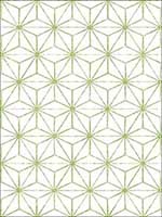 Orion Green Geometric Wallpaper 276424312 by A Street Prints Wallpaper for sale at Wallpapers To Go
