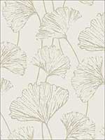 Reverie Grey Ginkgo Wallpaper 276424317 by A Street Prints Wallpaper for sale at Wallpapers To Go