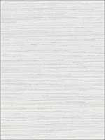 Grasscloth Wallpaper WF36302 by Patton Norwall Wallpaper for sale at Wallpapers To Go