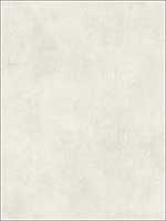 Plaster Finish Blanc De Blanc Wallpaper ME1545 by York Wallpaper for sale at Wallpapers To Go
