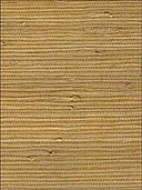 Grasscloth Wallpaper WS301 by Astek Wallpaper for sale at Wallpapers To Go