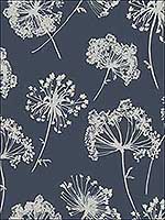 Ladies Lace Navy and White Wallpaper JB21812 by Wallquest Wallpaper for sale at Wallpapers To Go