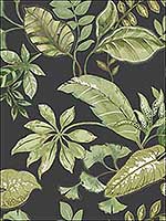 Tropical Leaf Black Wallpaper JB21900 by Wallquest Wallpaper for sale at Wallpapers To Go