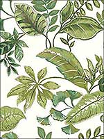 Tropical Leaf Tropical Greens on White Wallpaper JB21914 by Wallquest Wallpaper for sale at Wallpapers To Go