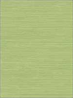 Vinyl Emboss Chartreuse Wallpaper JB22304 by Wallquest Wallpaper for sale at Wallpapers To Go