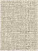 Tiki Dove Faux Grasscloth Wallpaper 28076010 by Warner Wallpaper for sale at Wallpapers To Go