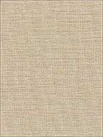 Cape Town Beige Faux Silk Wallpaper 28076066 by Warner Wallpaper for sale at Wallpapers To Go