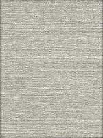 Aspero Light Grey Faux Silk Wallpaper 28078004 by Warner Wallpaper for sale at Wallpapers To Go