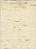 Grasscloth Wallpaper WS315 by Astek Wallpaper for sale at Wallpapers To Go