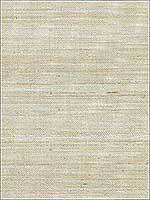 Pearl River Silver Grasscloth Wallpaper 273254745 by Kenneth James Wallpaper for sale at Wallpapers To Go