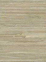 Iriga Platinum Grasscloth Wallpaper 273280002 by Kenneth James Wallpaper for sale at Wallpapers To Go
