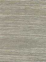 Liaohe Silver Grasscloth Wallpaper 273280032 by Kenneth James Wallpaper for sale at Wallpapers To Go