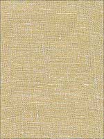 Leyte Gold Grasscloth Wallpaper 273280034 by Kenneth James Wallpaper for sale at Wallpapers To Go