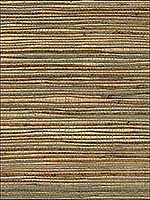 Ozamiz Copper Grasscloth Wallpaper 273280039 by Kenneth James Wallpaper for sale at Wallpapers To Go