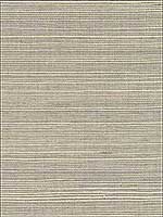Quing Taupe Sisal Grasscloth Wallpaper 273280074 by Kenneth James Wallpaper for sale at Wallpapers To Go