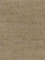 Kansu Brown Sisal Grasscloth Wallpaper 273280086 by Kenneth James Wallpaper for sale at Wallpapers To Go