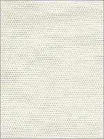 Henan White Paper Weave Wallpaper 273280094 by Kenneth James Wallpaper for sale at Wallpapers To Go