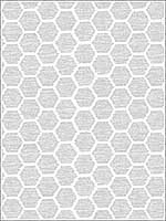 Aura Grey Honeycomb Wallpaper 279324712 by A Street Prints Wallpaper for sale at Wallpapers To Go