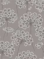 Angelica Grey Peel and Stick Wallpaper  NU1693 by Brewster Wallpaper for sale at Wallpapers To Go