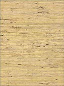 Grasscloth Wallpaper WS322 by Astek Wallpaper for sale at Wallpapers To Go