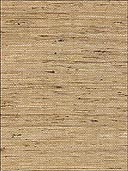 Grasscloth Wallpaper WS323 by Astek Wallpaper for sale at Wallpapers To Go