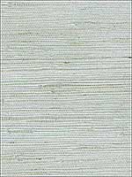 Grasscloth Light Green Light Blue Wallpaper W3038135 by Kravet Wallpaper for sale at Wallpapers To Go