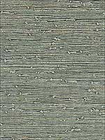 Grasscloth Green Silver Wallpaper W342130 by Kravet Wallpaper for sale at Wallpapers To Go