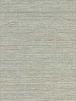 Grasscloth Light Grey Silver Wallpaper W345311 by Kravet Wallpaper for sale at Wallpapers To Go