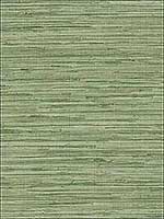 Grasscloth Green Wallpaper MH36504 by Patton Norwall Wallpaper for sale at Wallpapers To Go