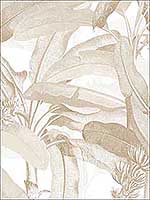 Polynesian Leaves Tan Beige Wallpaper MH36536 by Patton Norwall Wallpaper for sale at Wallpapers To Go
