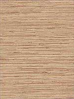 Grasscloth Brown Tan Wallpaper PA34212 by Patton Norwall Wallpaper for sale at Wallpapers To Go