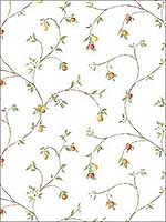 Fruit Trail Yellow Red Beige Wallpaper CK36607 by Patton Norwall Wallpaper for sale at Wallpapers To Go