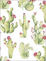 Cactus Green Red Wallpaper CK36630 by Patton Norwall Wallpaper for sale at Wallpapers To Go