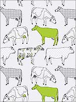 Cow Parade Green Black Wallpaper KE29928 by Patton Norwall Wallpaper for sale at Wallpapers To Go