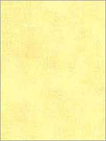 Coarse Linen Yellow Wallpaper KK26713 by Patton Norwall Wallpaper for sale at Wallpapers To Go