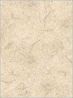 Plaster Texture Light Beige Wallpaper KT15510 by Patton Norwall Wallpaper for sale at Wallpapers To Go