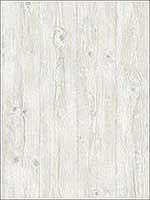 Woodgrain Cream Grey Wallpaper LL29501 by Patton Norwall Wallpaper for sale at Wallpapers To Go