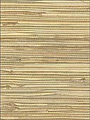 Grasscloth Wallpaper WS328 by Astek Wallpaper for sale at Wallpapers To Go