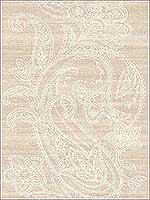 Paisley Striped Lace Filigree Pink and Off White Wallpaper 1620401 by Seabrook Wallpaper for sale at Wallpapers To Go